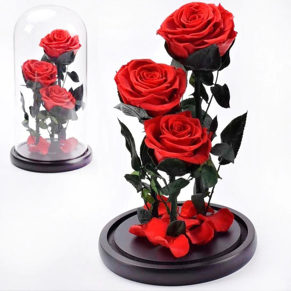 Masterclass: Curso Rosas Preservadas | Nivel Básico