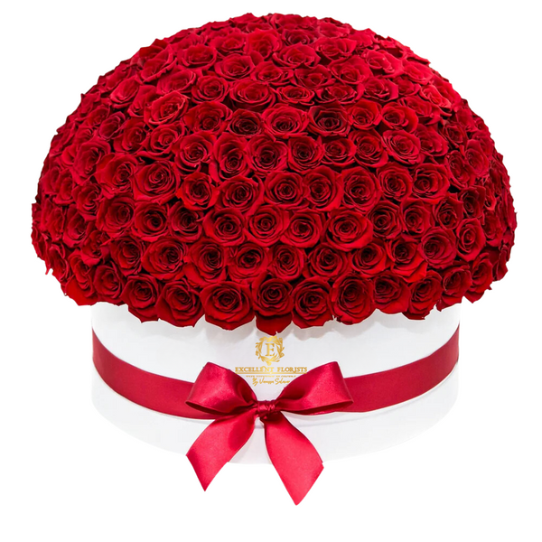 Box of Preserved Red Roses (300 Roses) - Exclusive Arrangement by Excellent Florists