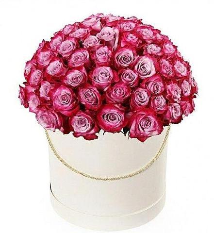 Lavender Dream - Excellent Florists