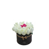 Two Dozen Roses in a Round Box - White