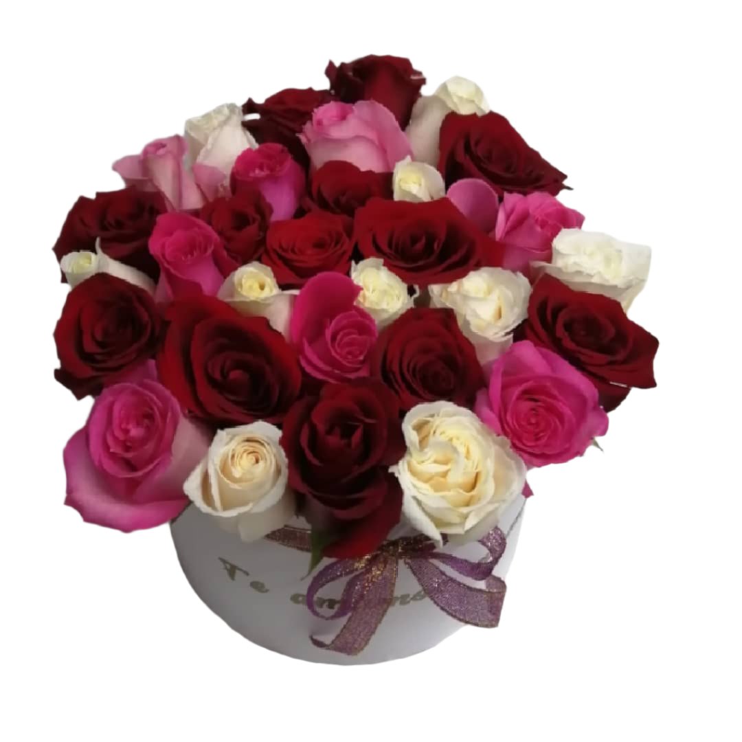 Two Dozen Roses in a Round Box - Mix Colors