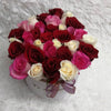 Two Dozen Roses in a Round Box - Mix Colors