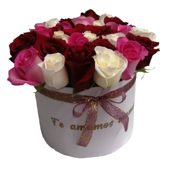 Two Dozen Roses in a Round Box - Mix Colors