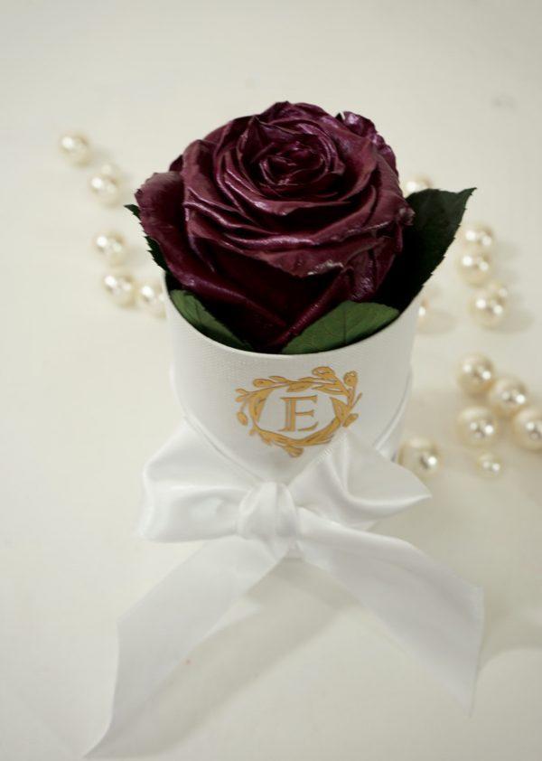 One Plum Excellent Collection - Excellent Florists