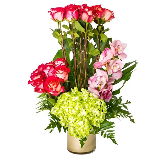 Radiant Beauty - Excellent Florists
