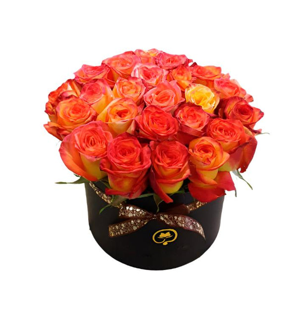 Two Dozen Roses in a Round Box - High Magic