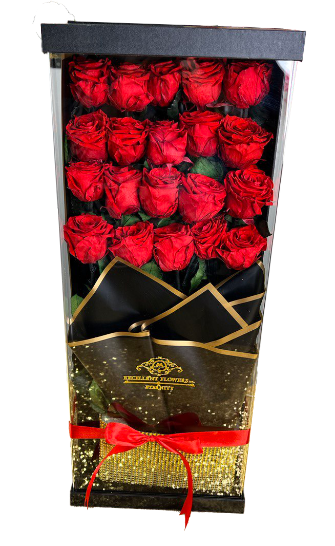 20 Luxury Long-Stem Preserved Roses in Fancy Acrylic Box