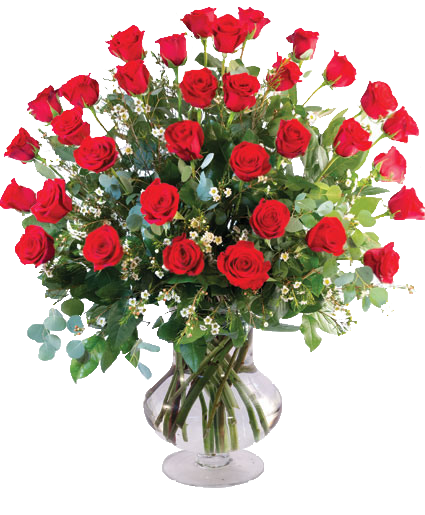 3 Dozen Rose