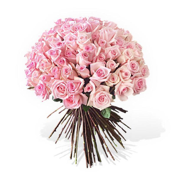 Pink Long Rose Excellent Florists Fresh and Preserved roses fresh roses
