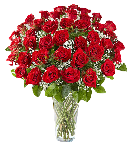 4 DOZEN ROSES