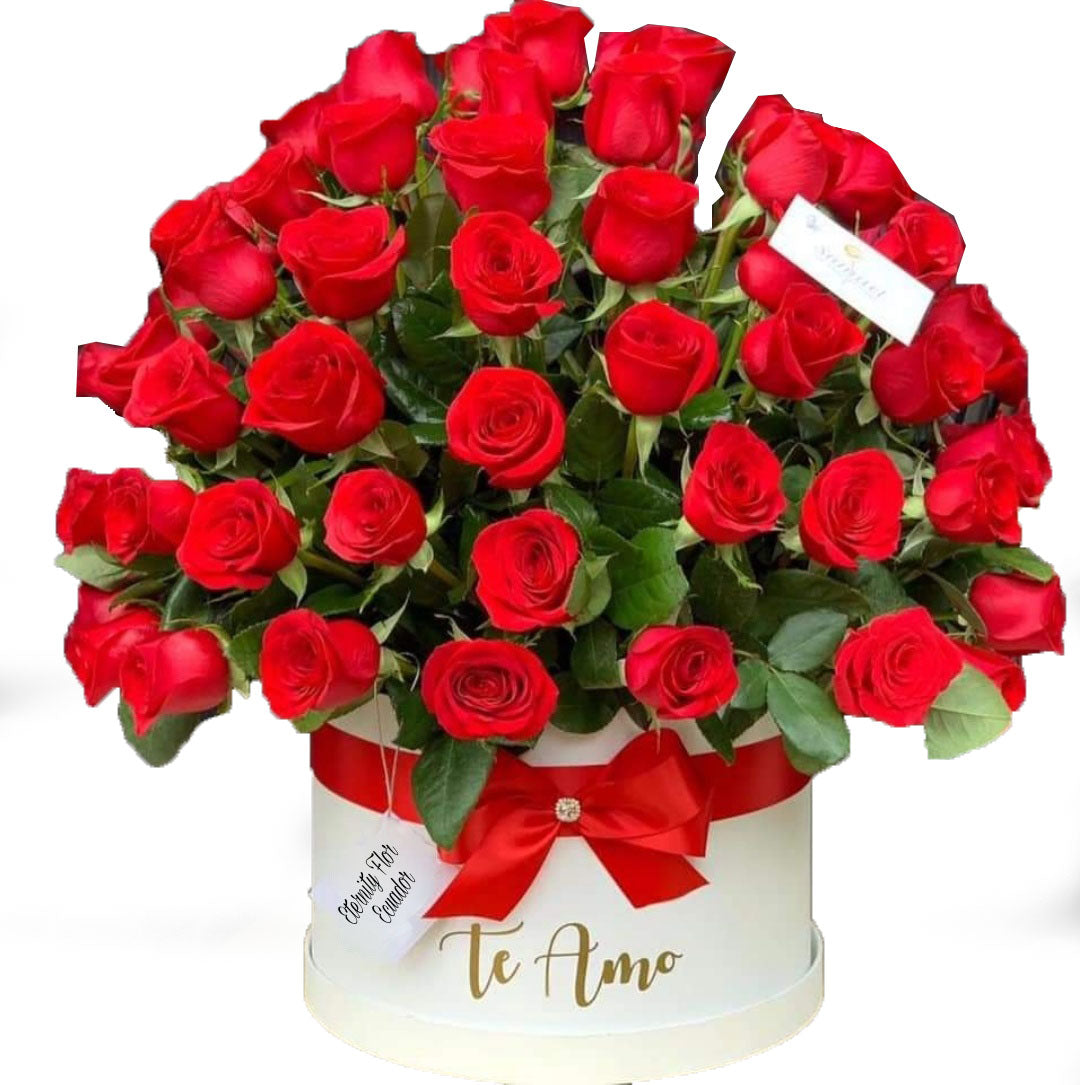 50 roses in a round box - Red