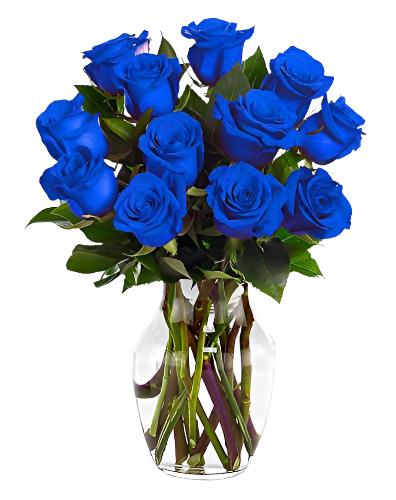 Two Dozen Blue Rose Arrangement in a vase