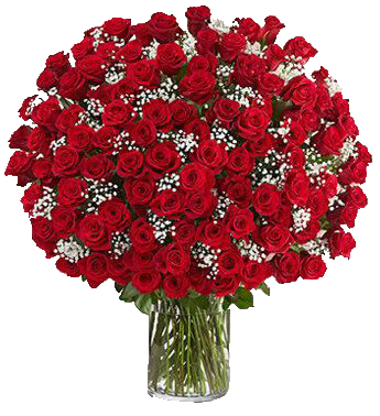 200 Premium Red Roses