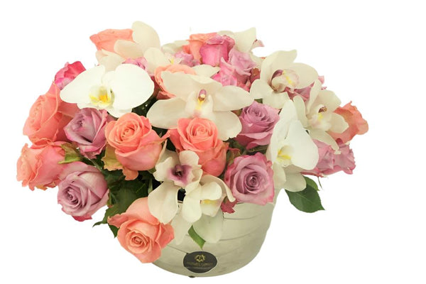 White Orchids & Roses - Excellent Florists