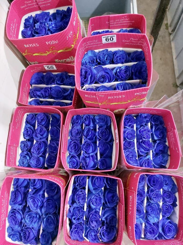 Blue Tinted Roses