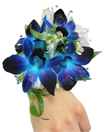 Blue Orchid - Excellent Florists