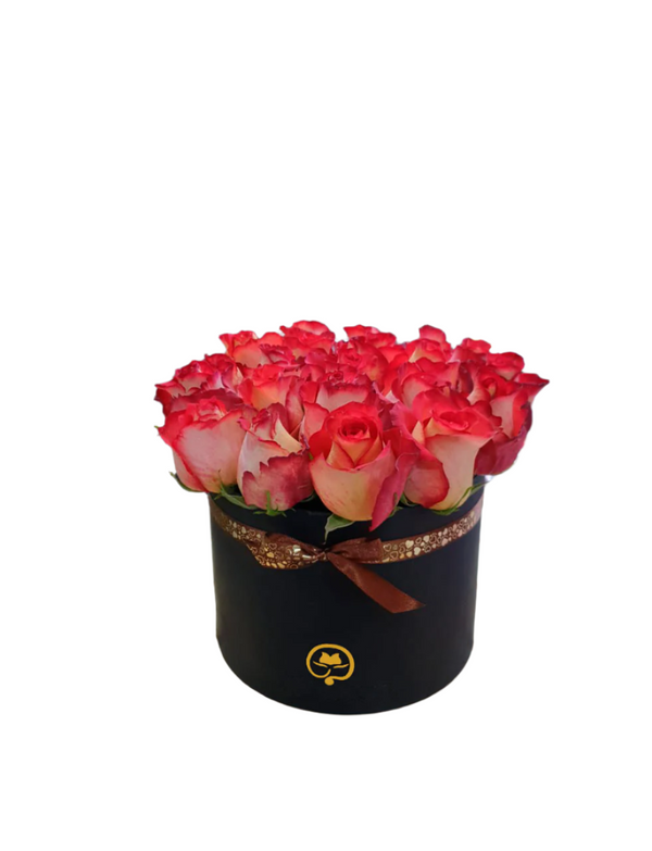 Two Dozen Roses in a Round Box - Iguazu