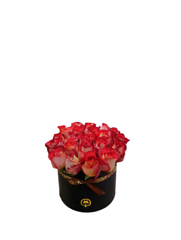 Two Dozen Roses in a Round Box - Iguazu
