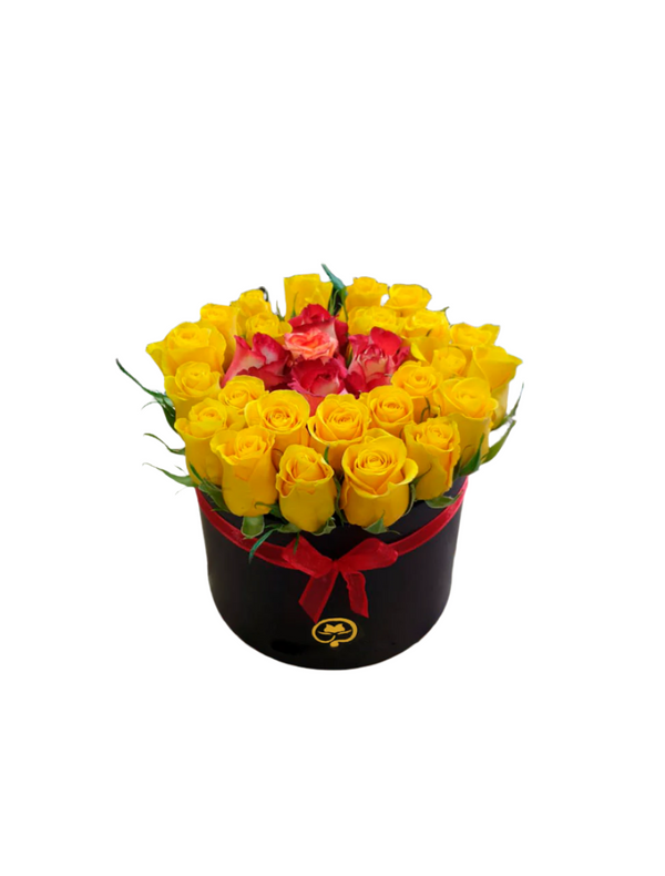 Two Dozen Roses in a Round Box - Yellow