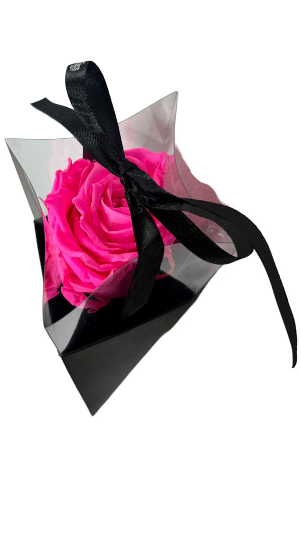 Eternal Single Rose and Stem