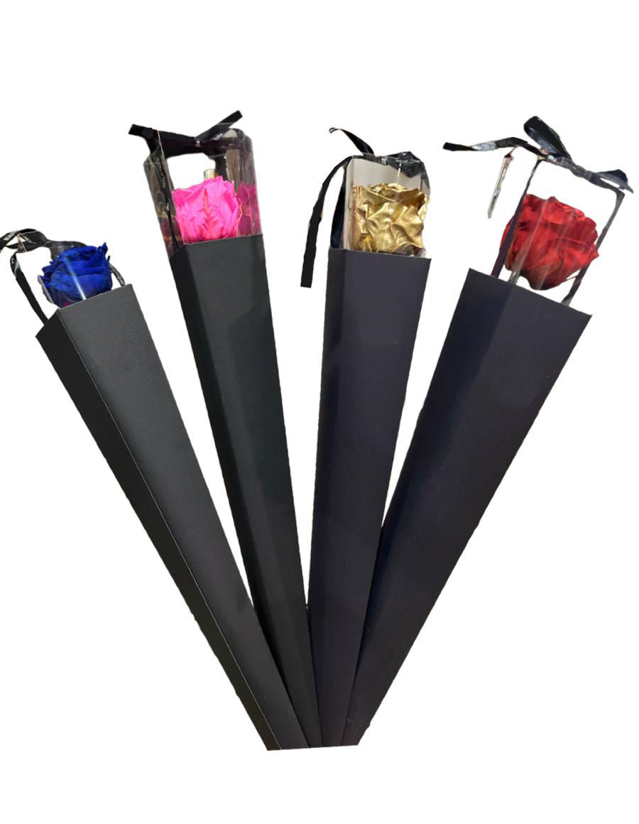 Eternal Single Rose and Stem