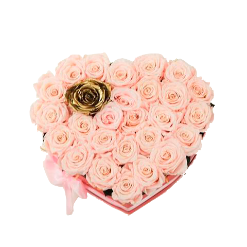 Heart Light Pink - Excellent Florists