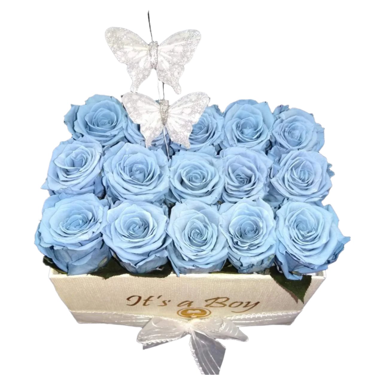 It´s a Boy Square Preserved Roses