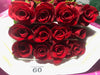 freedom roses miami