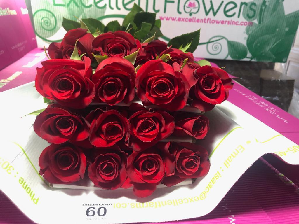 red roses miami