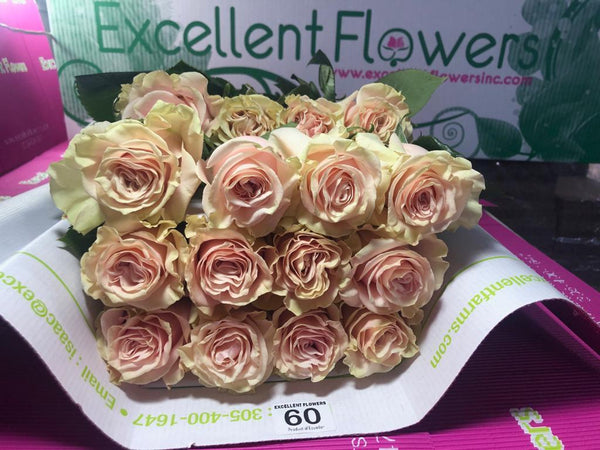 ecuadorian roses miami