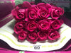 ecuadorian roses
