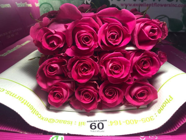 ecuadorian roses
