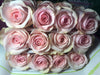 pink roses
