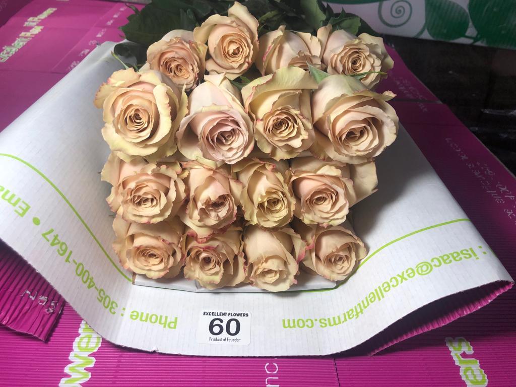 Quicksand roses miami