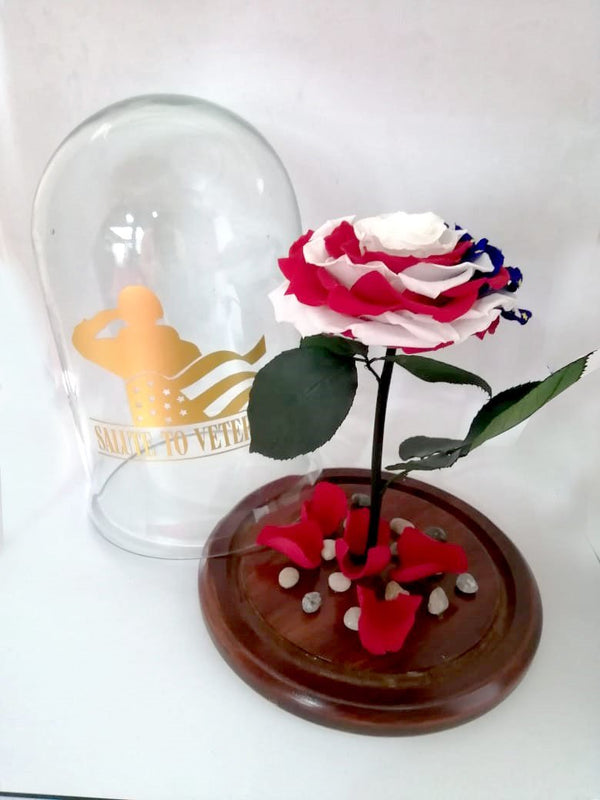 American Patriotic Preserved Jumbo Rose in a Dome The USA flag
