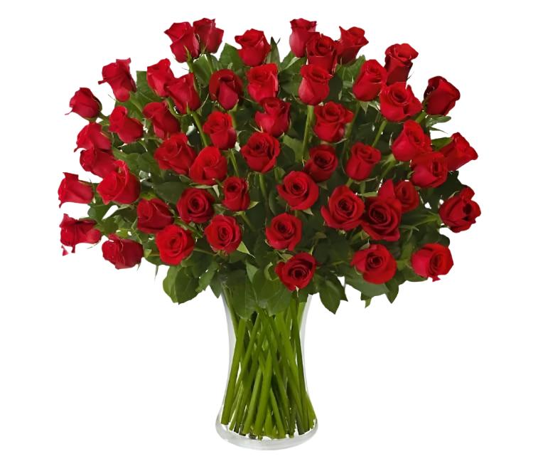 Fifty Roses in a Vase