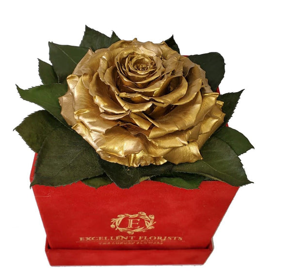 Golden preserved rose