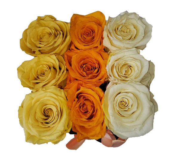Small Square Tricolor Yellow Orange Preserved Roses