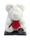 White Rose Teddy Bear Gift Box  14" PROMOTION