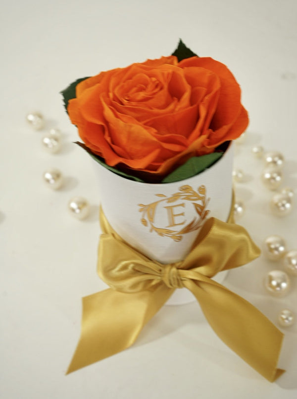 One Orange Excellent Collection - Excellent Florists