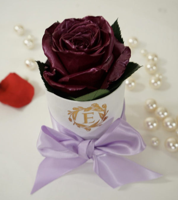 One Plum #2 Excellent Collection - Excellent Florists