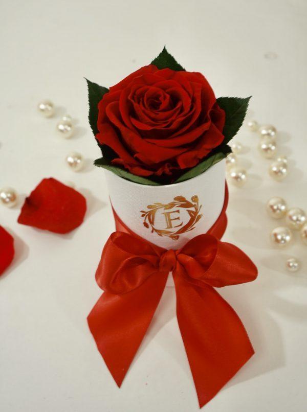 One Love #2 Excellent Collection - Excellent Florists