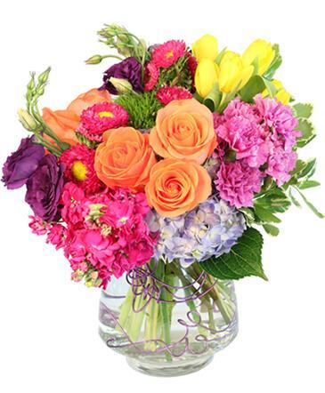Tulips & Hydrangeas - Excellent Florists