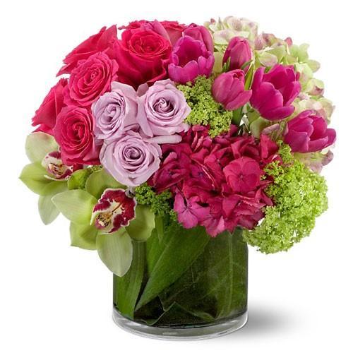 Tulips & Orchids - Excellent Florists