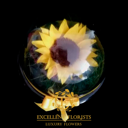 Preserved Sunflower in a Planetary Dome