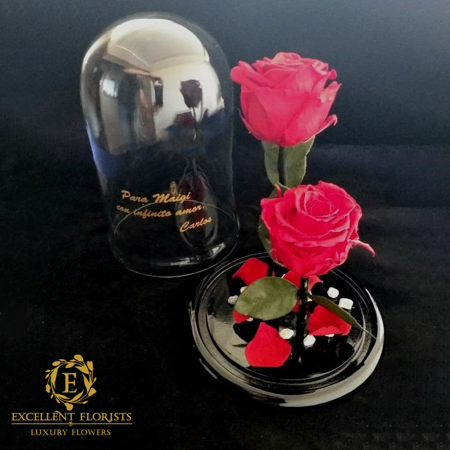 Two Red Preserved Red Bright Roses in a Glass Dome