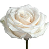 Vendela Rose I $ 24.99 * Bunch: 25 roses