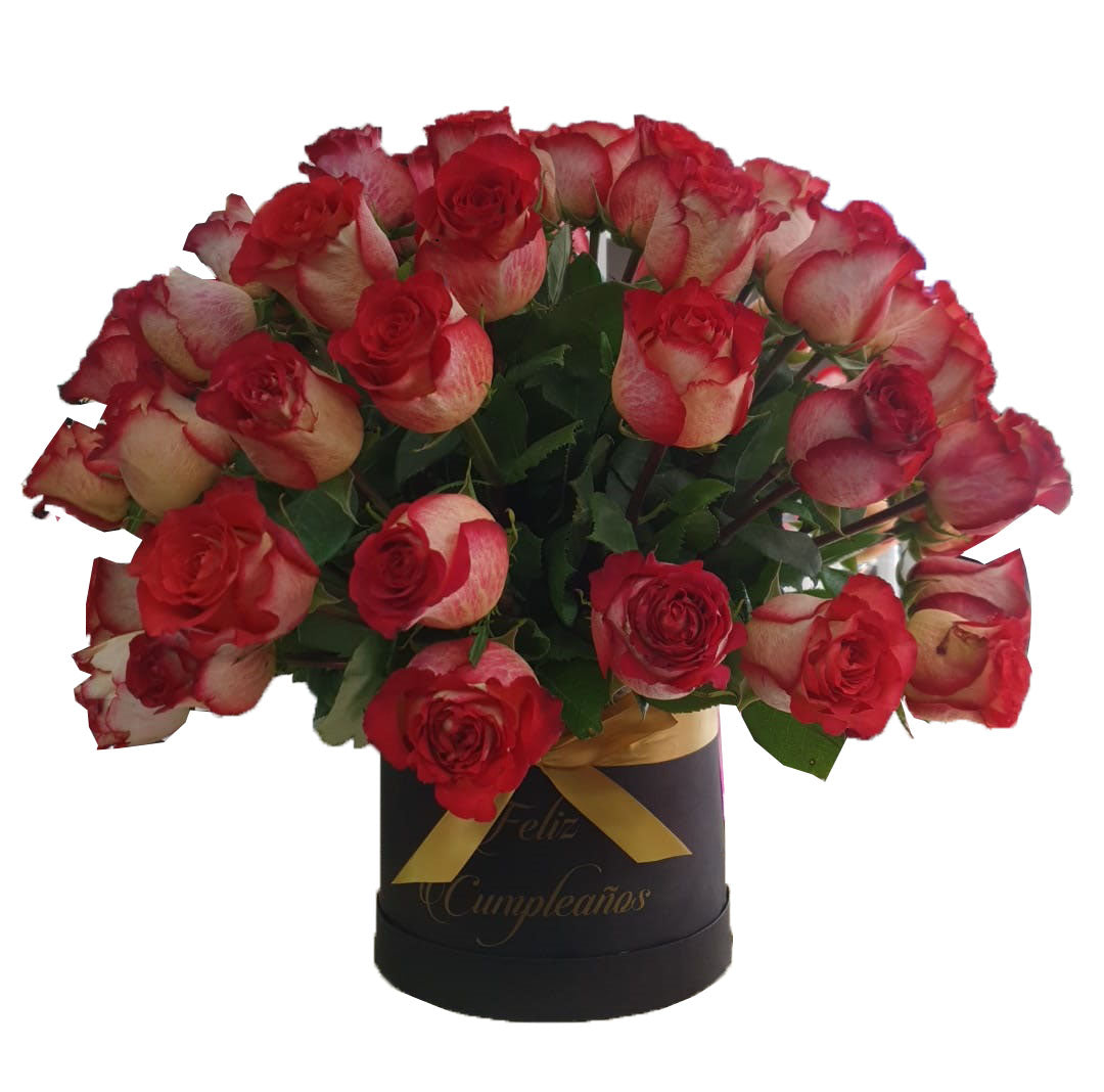 50 roses in a round box - Iguazu