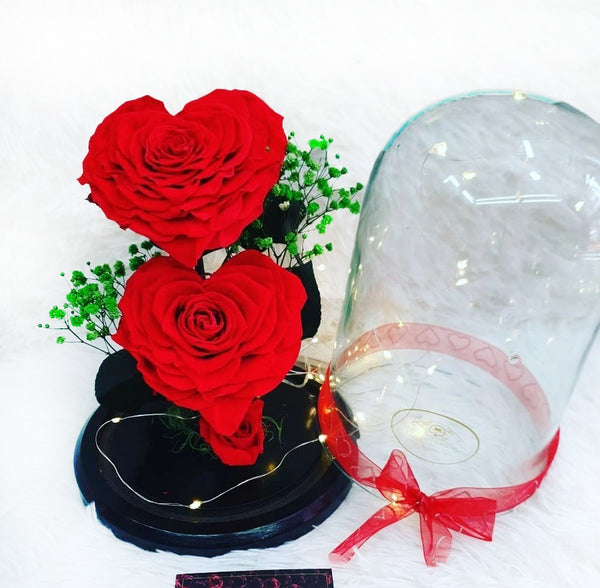 Two Preserved Heart Roses in a Medium Dome