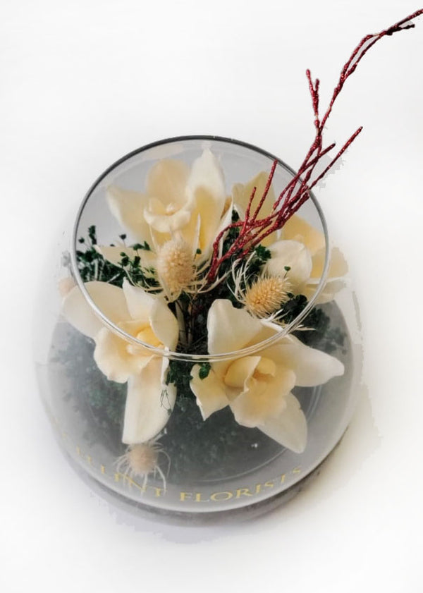 Preserved Orchids in a Glass 
